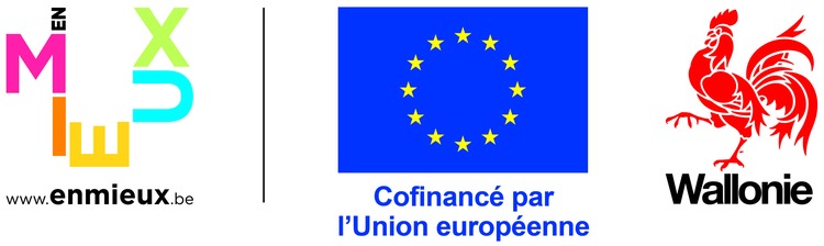 Logo Wallonie